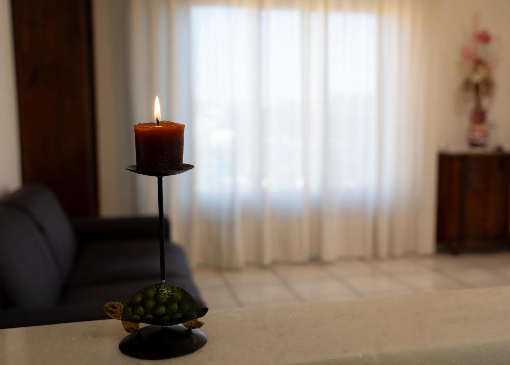 La Tartaruga Apartman Siena Kültér fotó